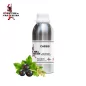 Blackcurrant Pure Pro Perfumed Oil - Designer Perfumes
