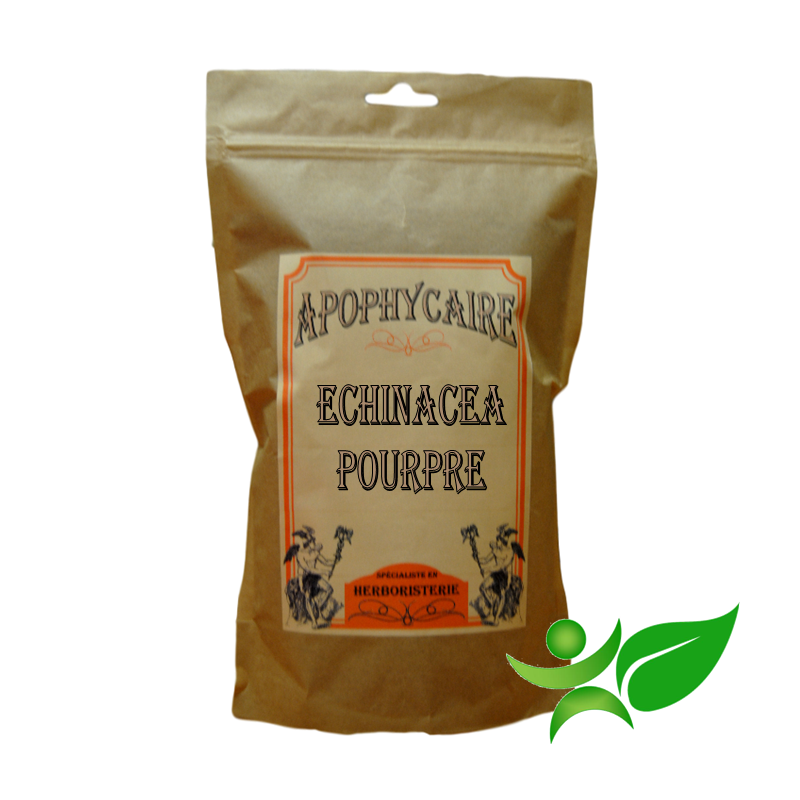 ECHINACEA POURPRE, Racine (Echinacea Purpurea) - Apophycaire