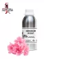 Rose Geranium Pure Pro Fragrance Oil - Tasarımcı Parfümler