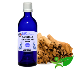 Cannelle de Ceylan - Feuille, Hydrolat (Cinnamomum verum) - Aroma Centre