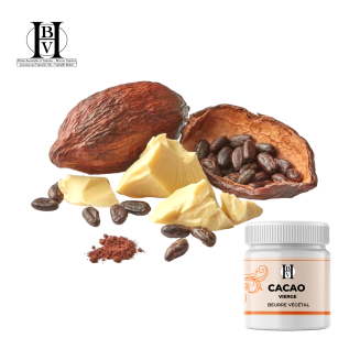 Raw cocoa vegetable butter (Theobroma cacao) - HBV Butters