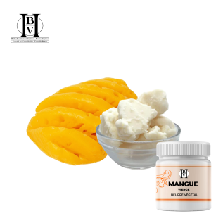 Mango vegetable butter (Mangifera indica) - HBV Butters