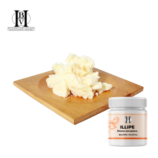 Illipé-Pflanzenbutter (Shorea stenoptera) - HBV Butters