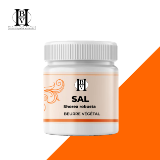 Salt vegetable butter (Shorea robusta) - HBV Butters
