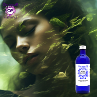 Balsam Fir, Hydrosol (Abies balsamea) - OFLORALE