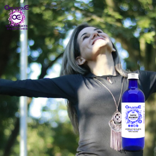 Sapin baumier, Hydrolat (Abies balsamea) - OFLORALE