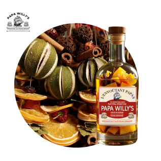 Papa's Bewitching - Aromalı Demleme İçeceği (Papa Willy's)