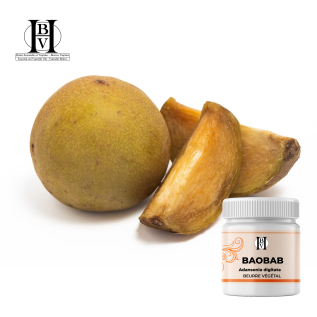 Baobab sebze yağı (Adansonia digitata) - HBV Butters