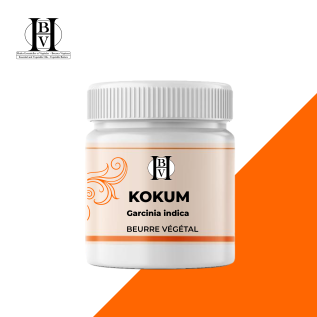 Kokum native Pflanzenbutter (Garcinia indica) - HBV Butters