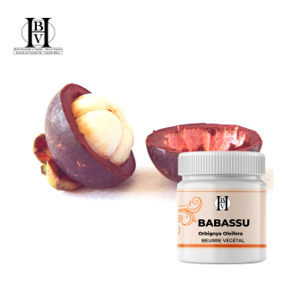 Mantequilla vegetal virgen de babasú (Orbignya oleifera) - Mantequillas HBV