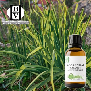 Huile essentielle d’Acore vrai – Pure et naturelle – HBV