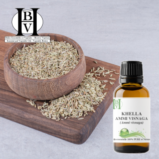Aceite esencial de Ammi visnaga (Khella) – Puro y natural