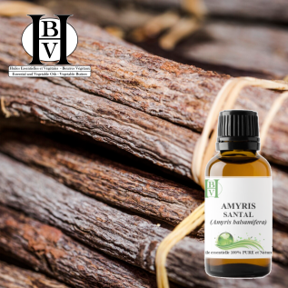 Amyris (West Indian Sandalwood) Essential Oil – Pure & Natural