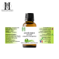 Angélique (racine) Huile essentielle – HBV