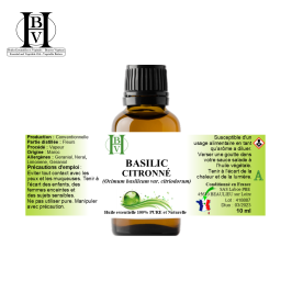 Lemon basil essential oil (Ocimum basilicum var. citriodorum) – HBV