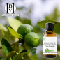 Bergaptensiz bergamot (FCF), uçucu yağ (Citrus bergamia) – HBV HE Bergaptensiz bergamot (FCF), uçucu yağ (Citrus bergamia) – HBV HE