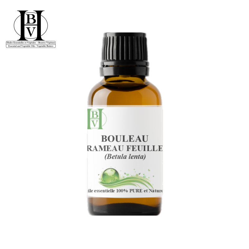 Bouleau merisier (feuilles & rameaux), huile essentielle (Betula lenta) – HBV HE Bouleau merisier (feuilles & rameaux), huile essentielle (Betula lenta) – HBV HE