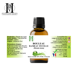 Cherry birch (leaves & twigs), essential oil (Betula lenta) – HBV HE