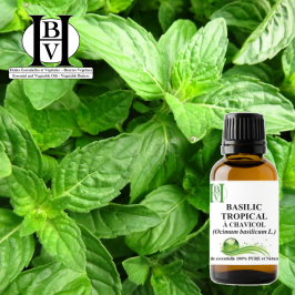 Basilic tropical, huile essentielle (Ocimum basilicum var. basilicum) – HBV HE