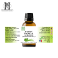 Tropical Basil Essential Oil – Ocimum basilicum v. basilicum – HBV