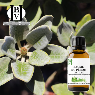 Peru Balsam Uçucu Yağı (damıtılmış) – Myroxylon balsamum var. pereirae – HBV