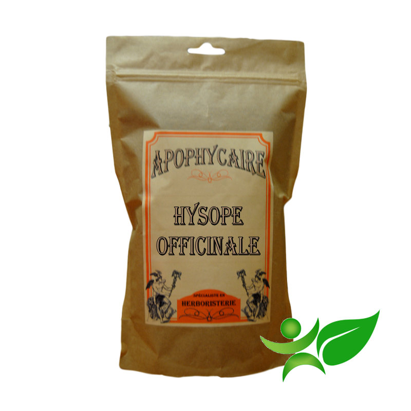 HYSOPE, Feuille (Hyssopus officinalis) - Apophycaire