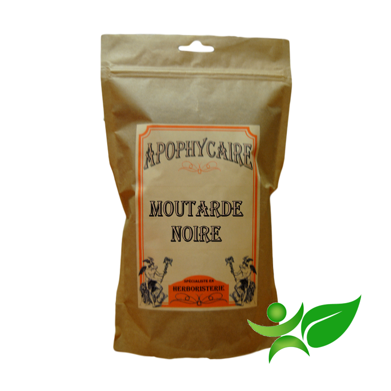 MOUTARDE NOIRE, Graine (Brassica nigra) - Apophycaire