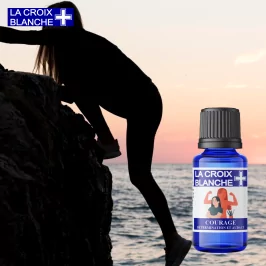 Courage - Synergie Détermination et Audace - La Croix Blanche
