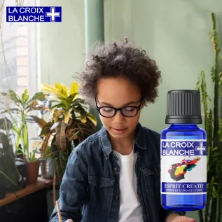 Creative Mind - Synergy to Stimulate Imagination