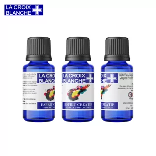 Yaratıcı Zihin - Hayal Gücünü Teşvik Eden Sinerji