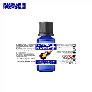 Creative Mind - Synergy to Stimulate Imagination