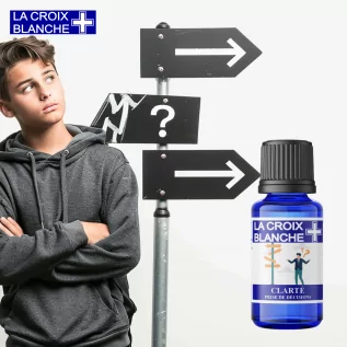 Clarté et Décision - Synergie Prise de Décision - La Croix Blanche