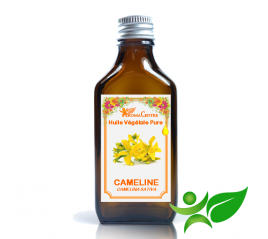 Cameline, Huile végétale pure (Camelina sativa) - Aroma Centre
