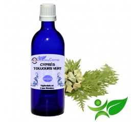 Cyprès toujours vert, Hydrolat (Cupressus sempervirens) - Aroma Centre
