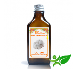 Coton, Huile végétale pure (Gossypium herbaceum) - Aroma Centre