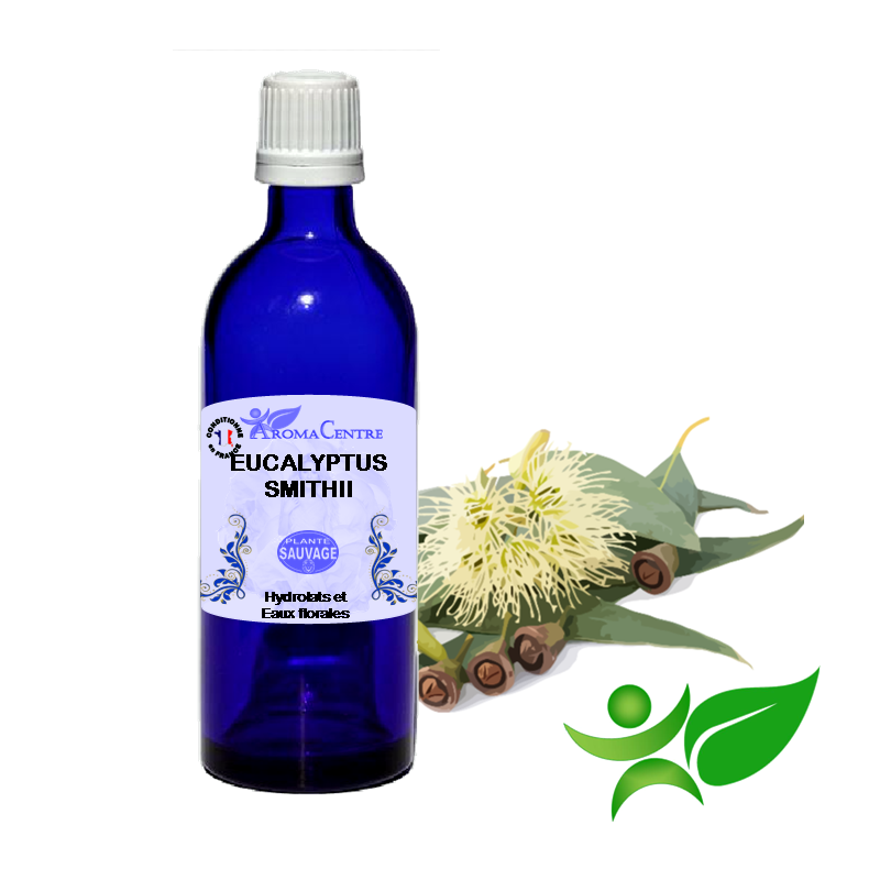 Eucalyptus smithii, Hydrolat (Eucalyptus smithii) - Aroma Centre