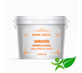 Babassu - vierge, beurre végétal (Orbignya Oleifera) - Aroma Centre