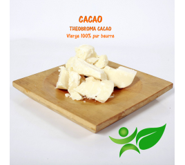 Cacao - vierge, beurre végétal (Theobroma cacao) - Aroma Centre