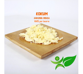 Kokum, beurre végétal (Garcinia indica) - Aroma Centre