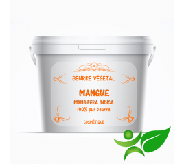 Mangue, beurre végétal (Mangifera indica) - Aroma Centre
