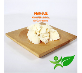 Beurre végétal de Mangue BIO - Aroma-Zone