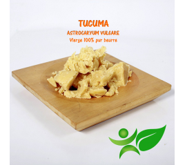 Tucuma - vierge, beurre végétal (Astrocaryum vulgare) - Aroma Centre