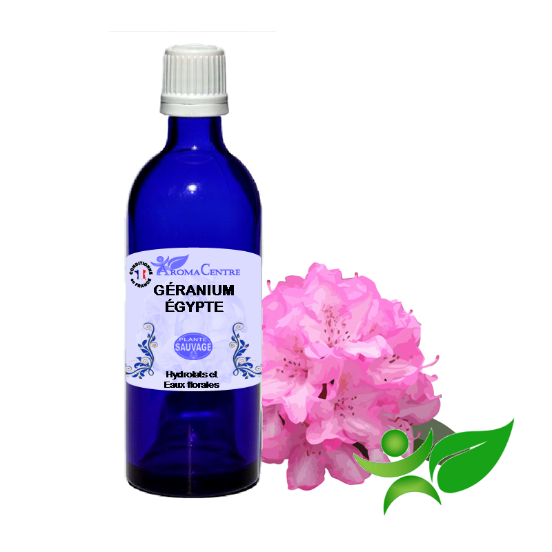 Géranium Egypte, Hydrolat (Pelargonium asperum) - Aroma Centre