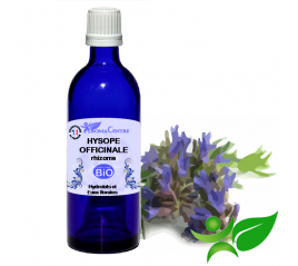 Hysope officinale BiO, Hydrolat (Hyssopus officinalis) - Aroma Centre