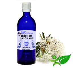 Lédon du Groéndland BiO, Hydrolat (Ledum groenladicum) - Aroma Centre