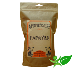 PAPAYER, Feuille (Carica papaya) - Apophycaire