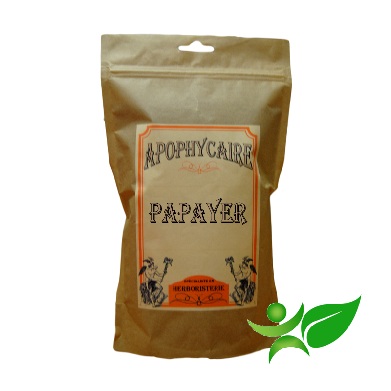 PAPAYER, Feuille (Carica papaya) - Apophycaire