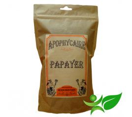 PAPAYER, Feuille poudre (Carica papaya) - Apophycaire