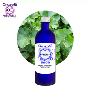 Alchemilla aerial part, Hydrosol (Alchemilla vulgaris) - OFLORALE