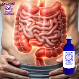 Aneth feuille, Hydrolat (Anethum graveolens) - OFLORALE